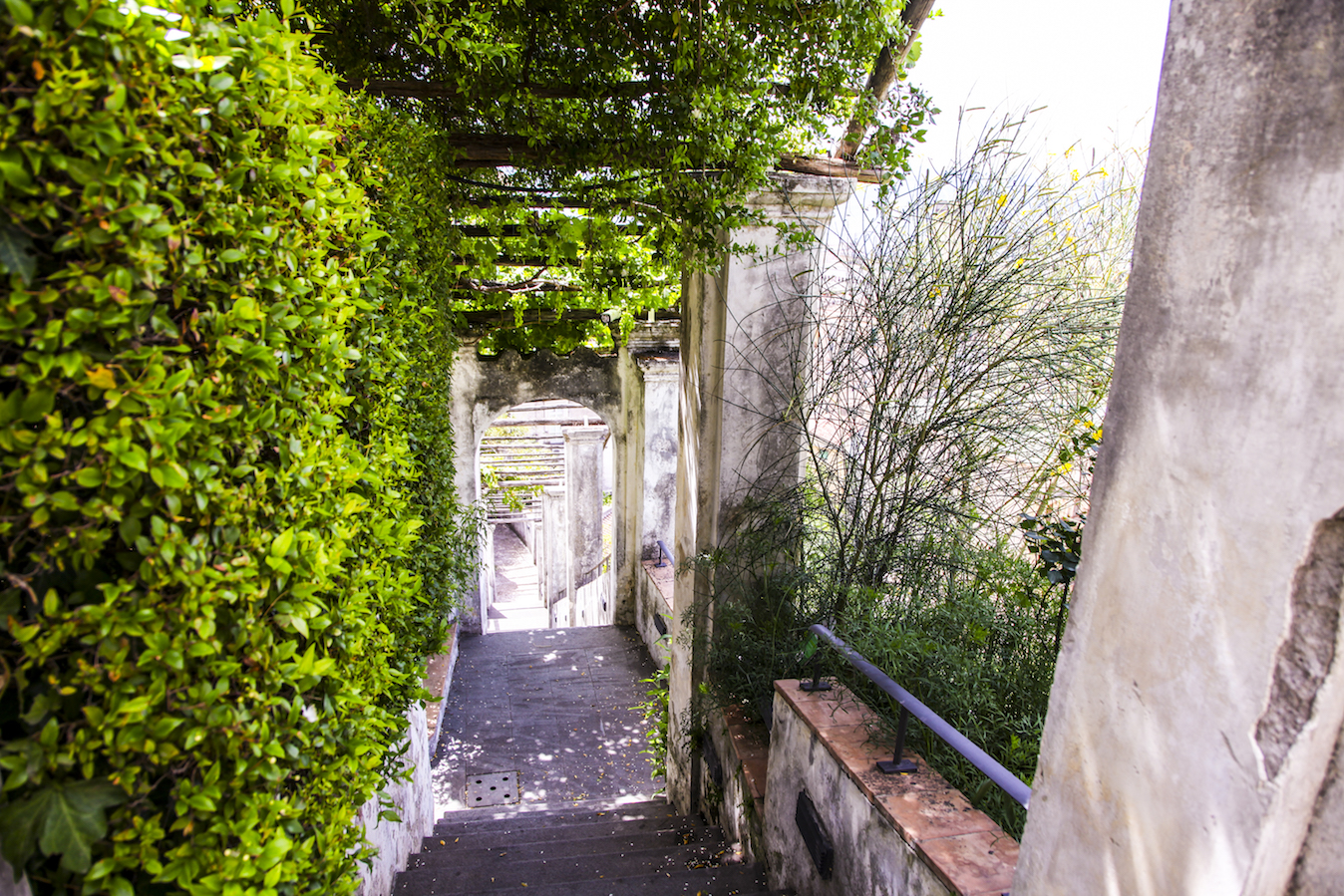   Scalea Giardino della Minerva
