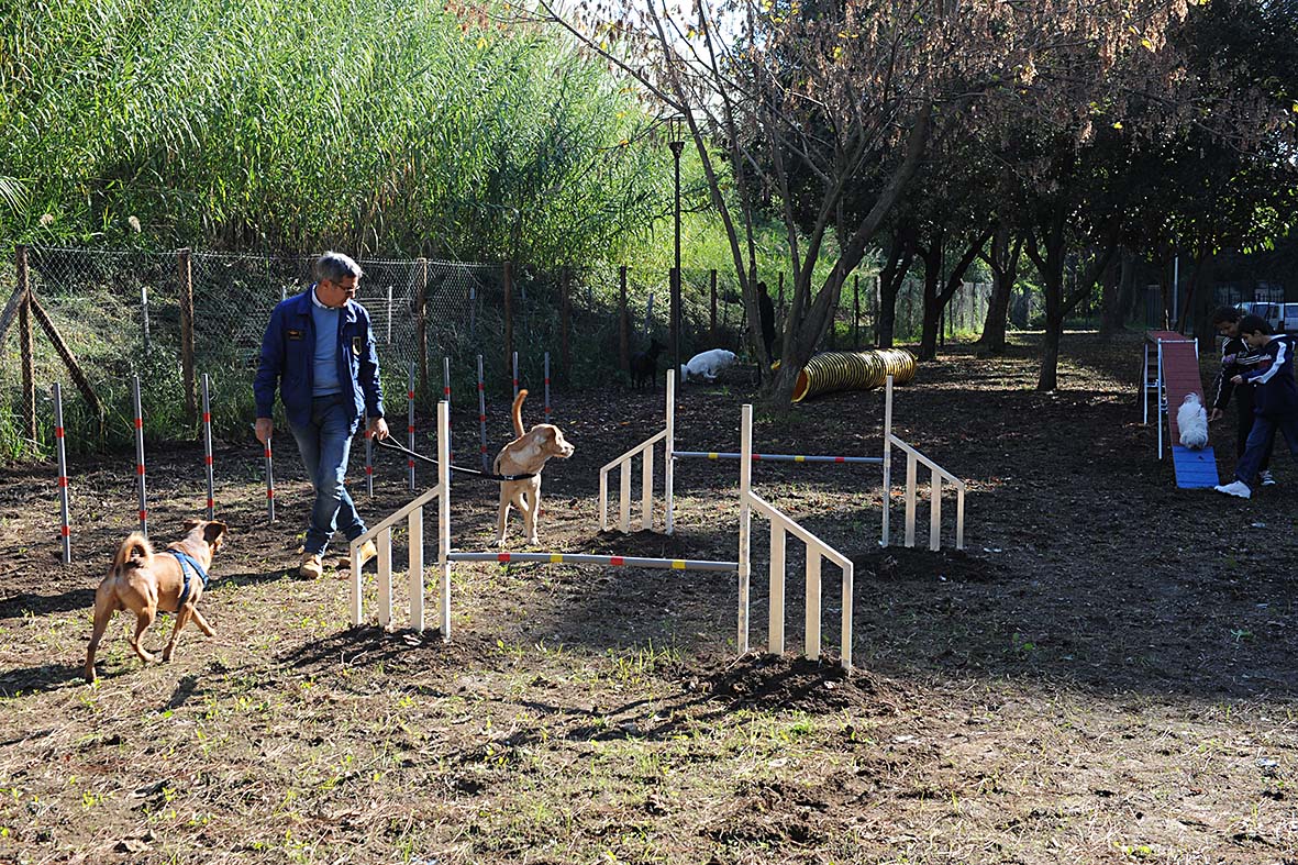   Inaugurata area di sgambamento per cani in via Carnelutti
