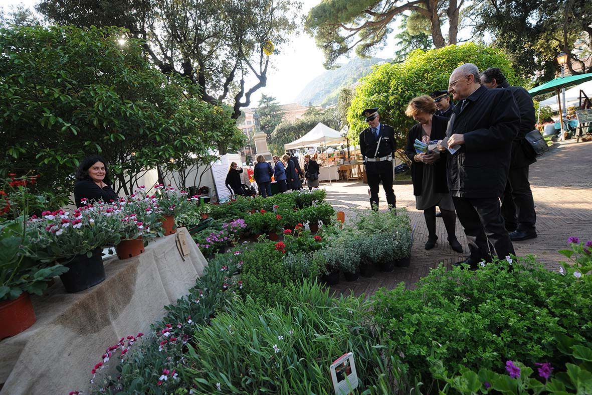   Dall'11 al 13 aprile la 14ma edizione della Mostra della Minerva
