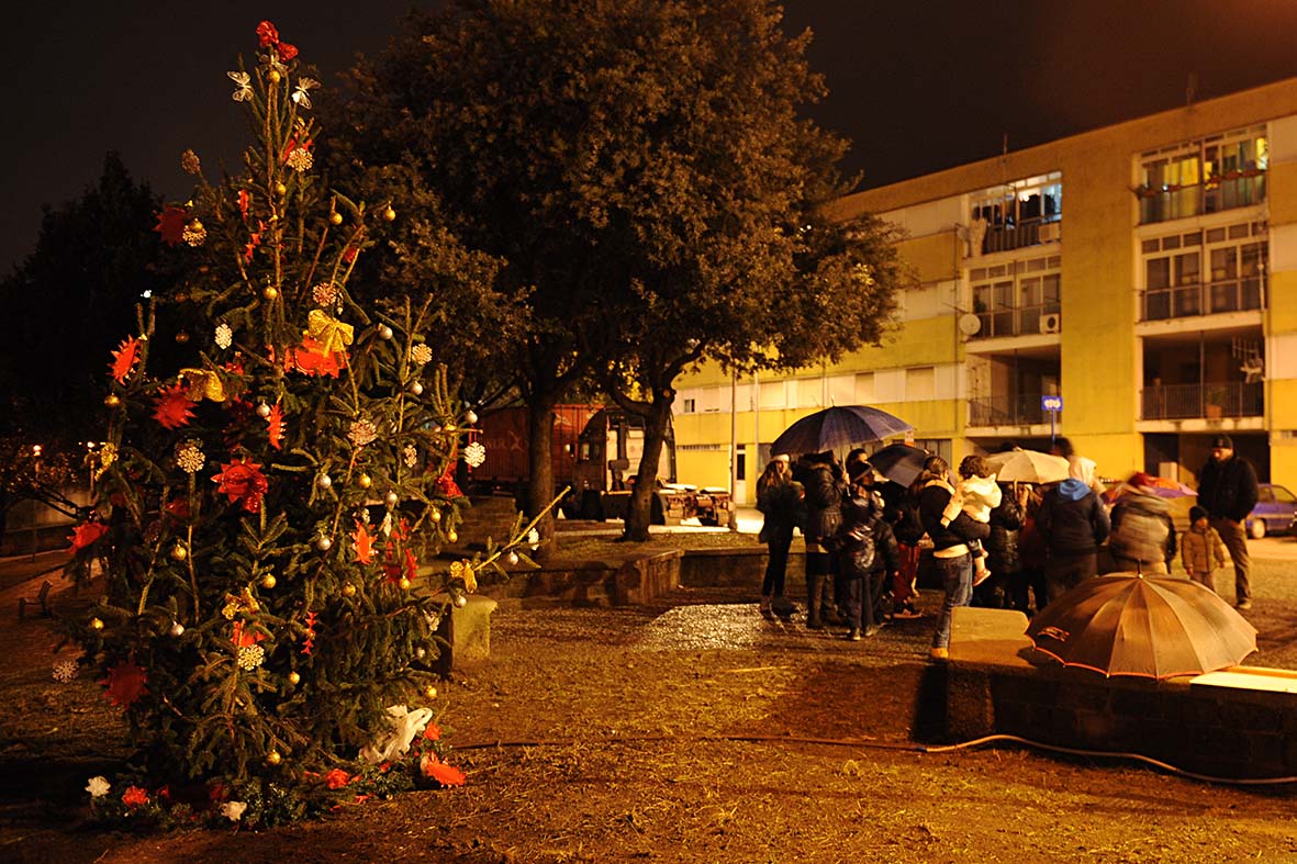  Si illumina l'albero di Natale Matierno. Salerno, 15 dicembre 2012.
