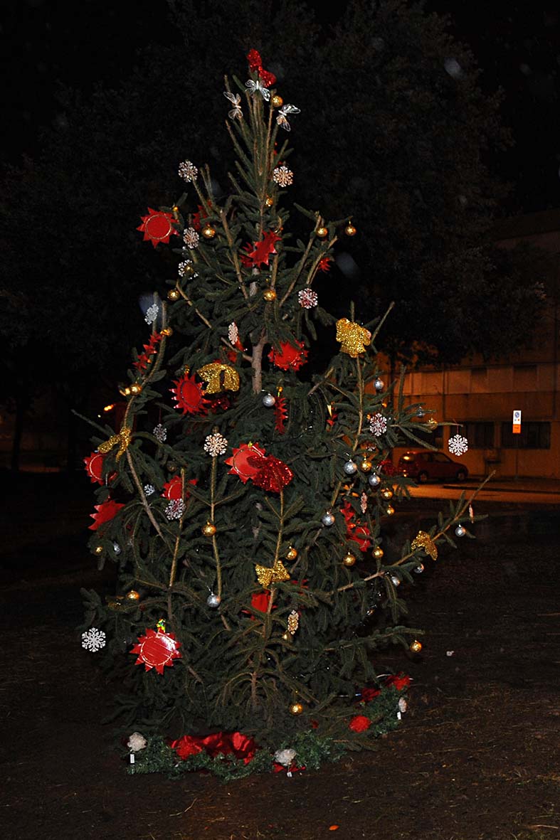   Si illumina l'albero di Natale Matierno. Salerno, 15 dicembre 2012.
