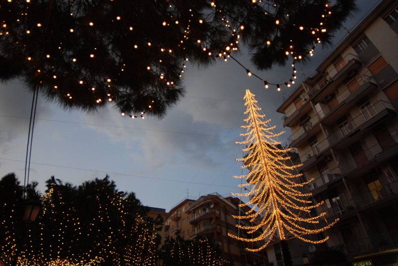   Luci d'Artista 2008
