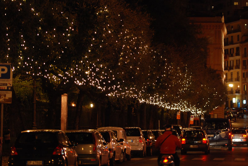   Luci d'Artista 2008
