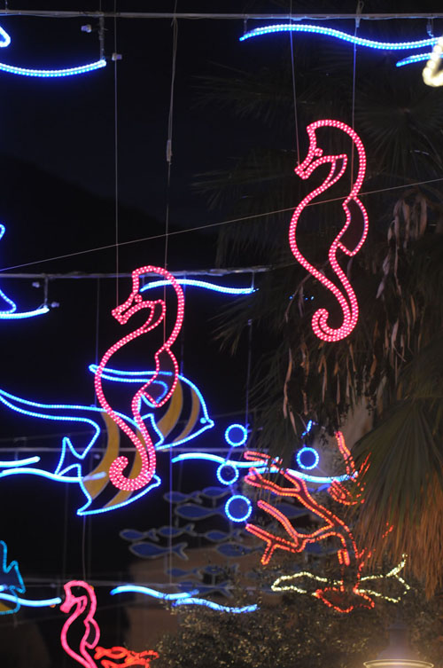   Luci d'Artista 2008

