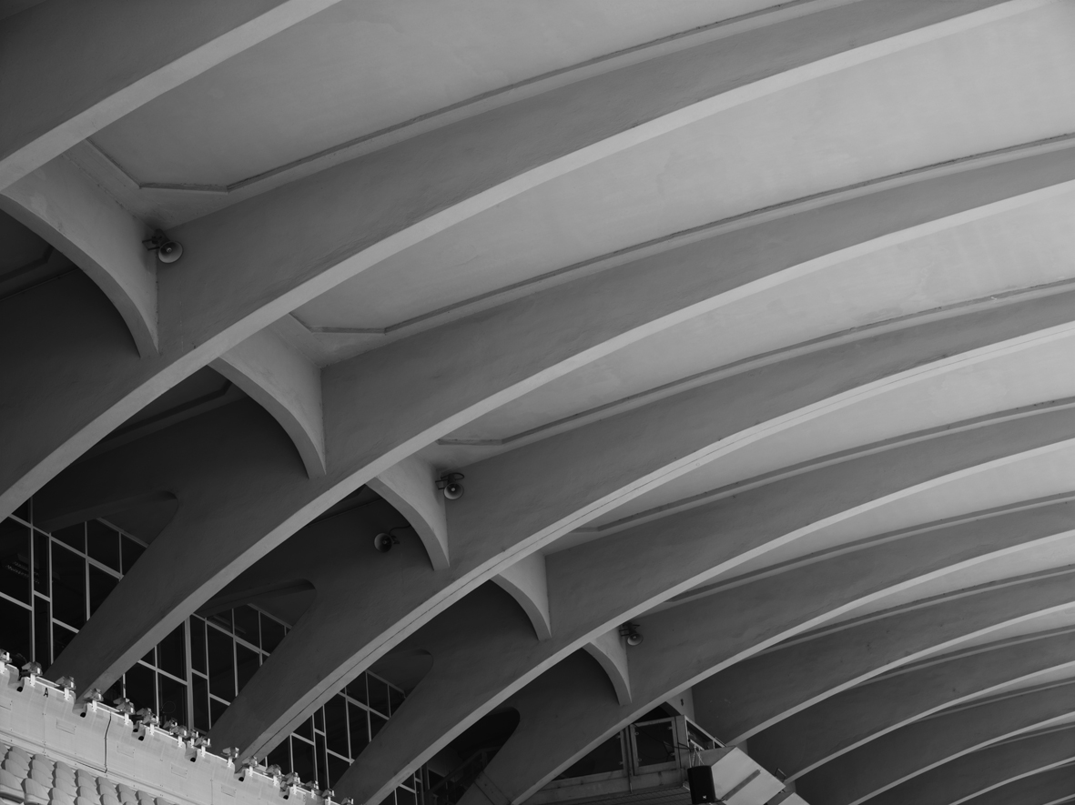   Pier Luigi Nervi - Architettura come sfida
