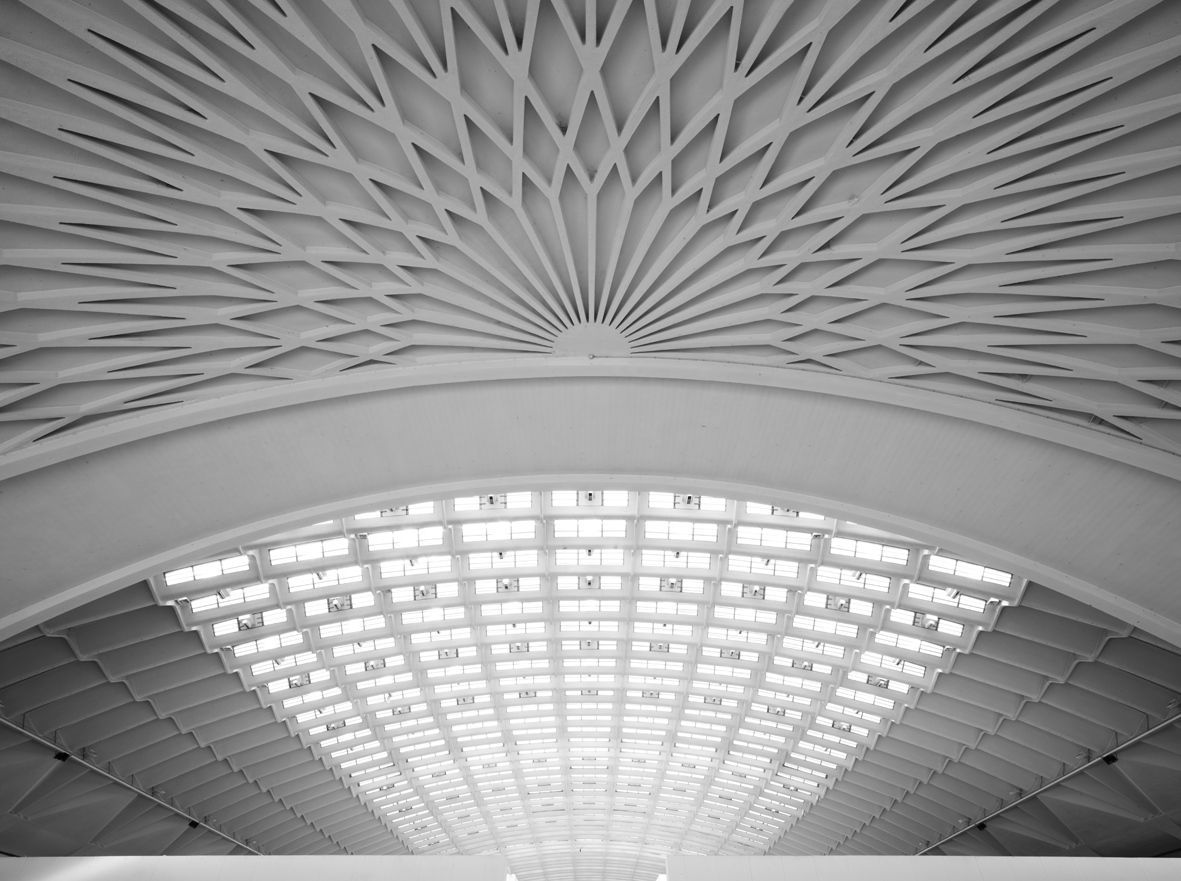   Pier Luigi Nervi - Architettura come sfida
