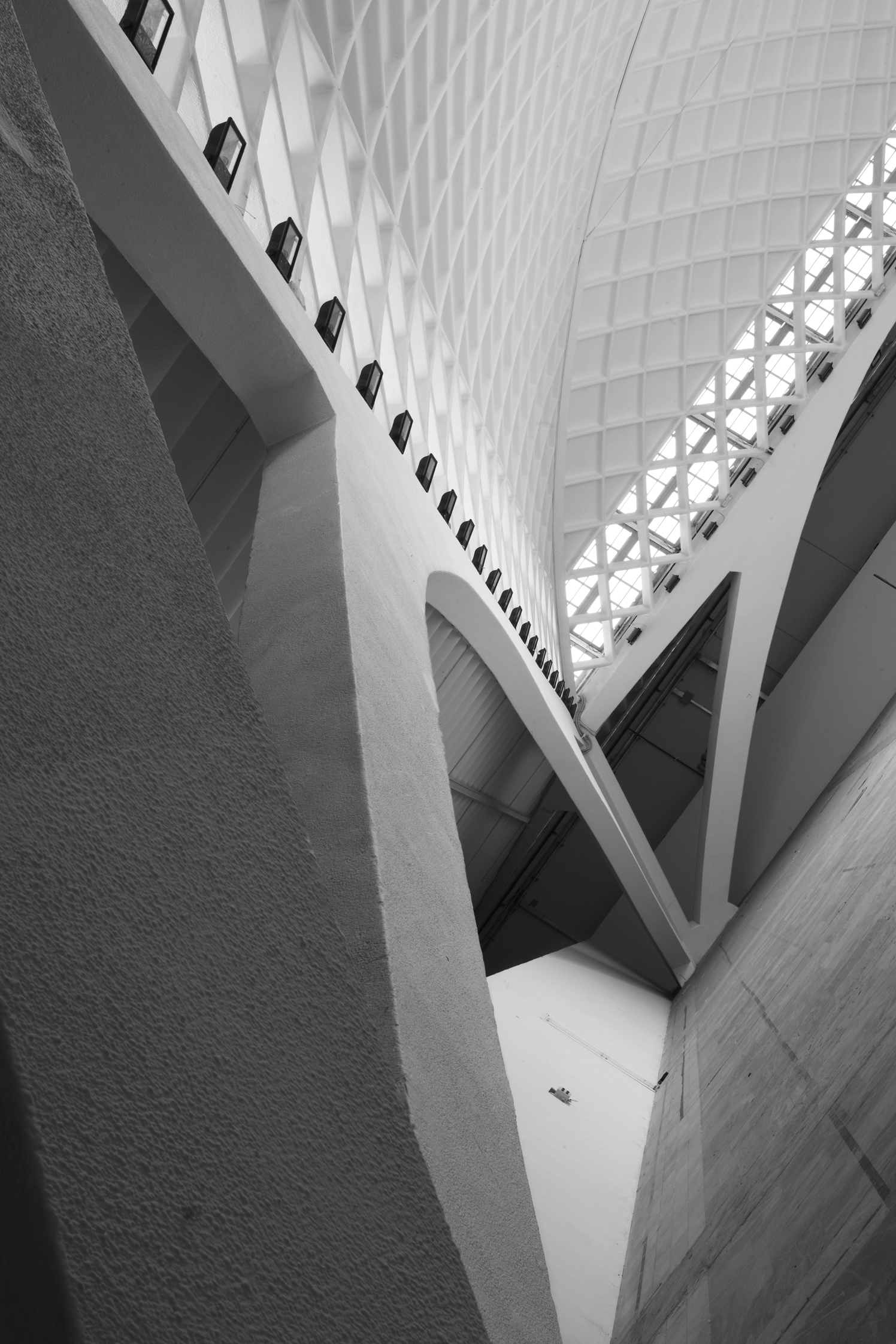   Pier Luigi Nervi - Architettura come sfida

