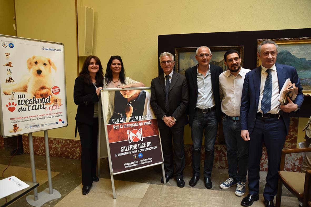   Il 28 e 29 maggio sara' "Un week end da cani...e gatti"
