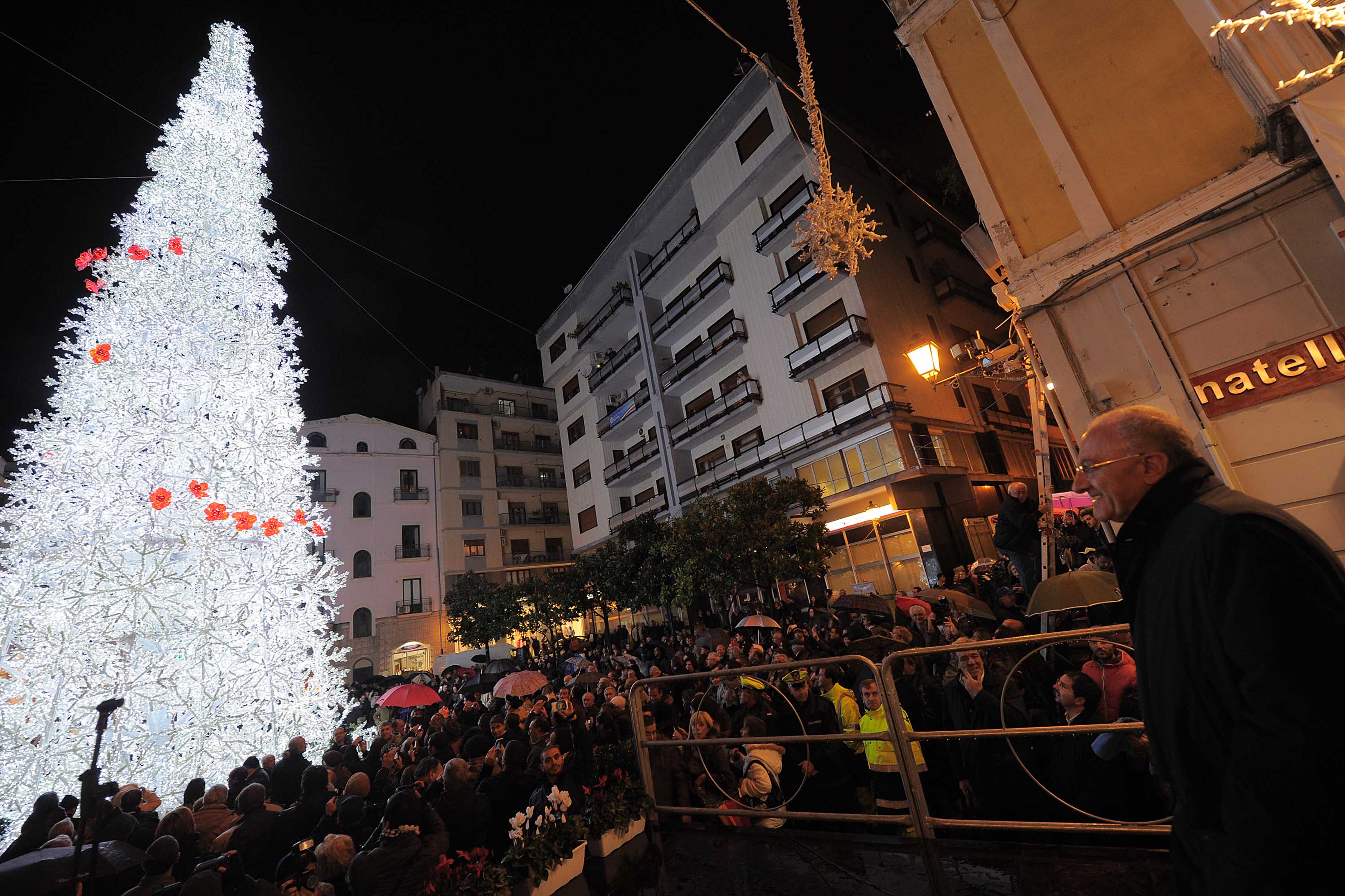   Albero e foresta di ghiaccio, presepi artistici e mercatini di Natale

