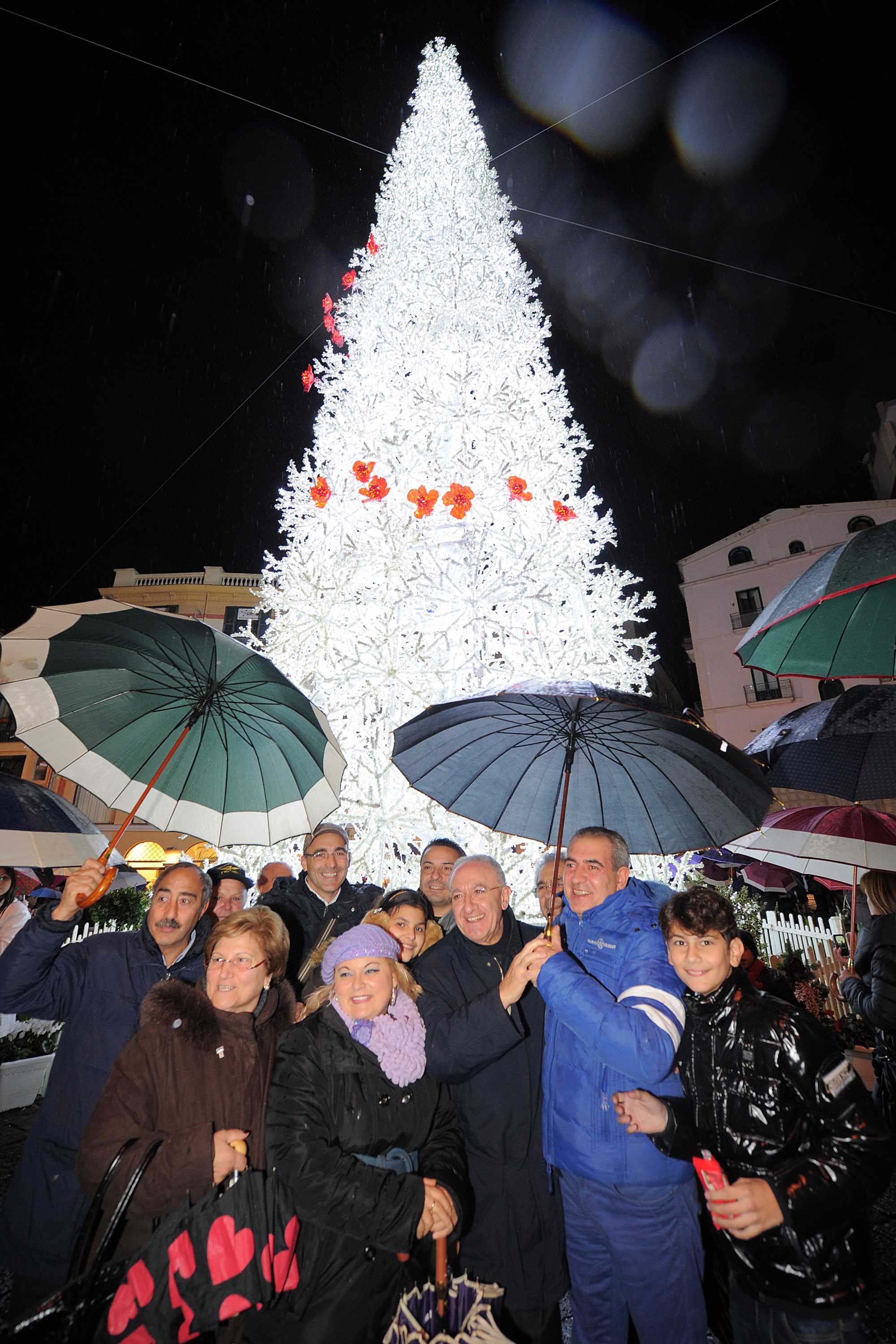   Albero e foresta di ghiaccio, presepi artistici e mercatini di Natale
