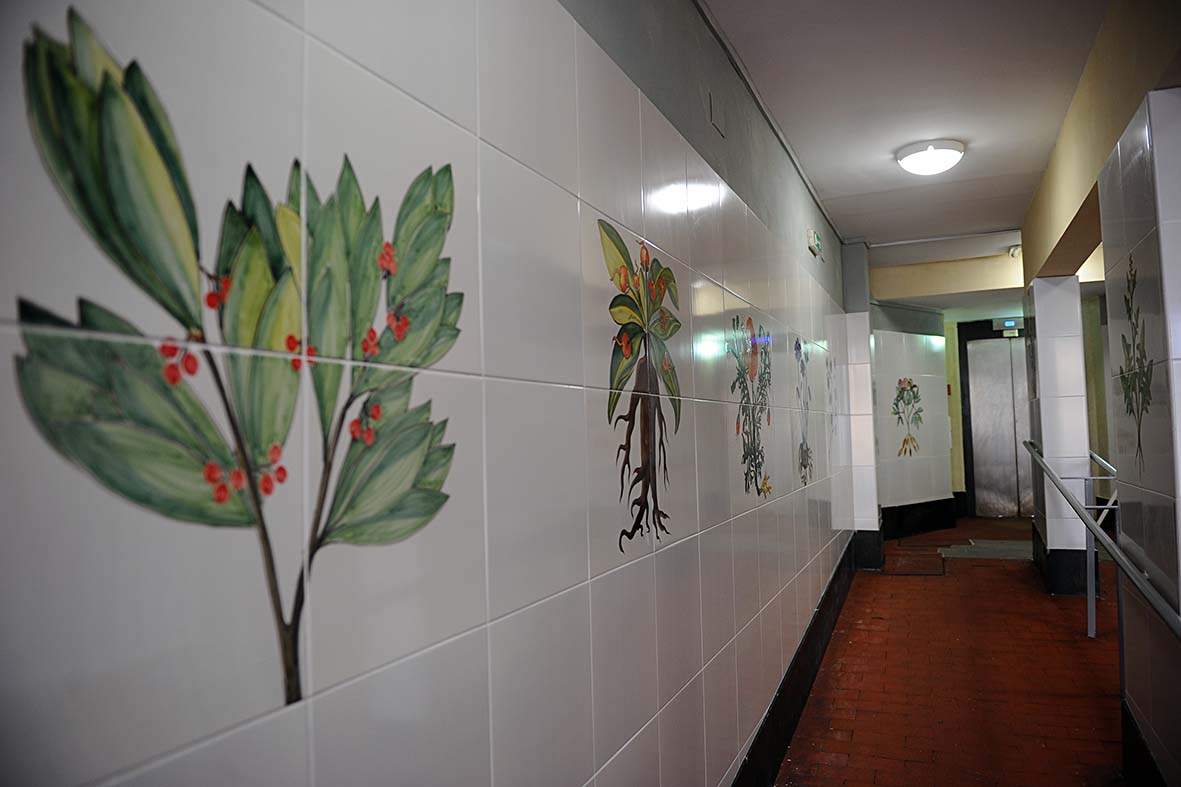   Inaugurato il nuovo atrio dell'ascensore in Piazza M. D'Aiello
