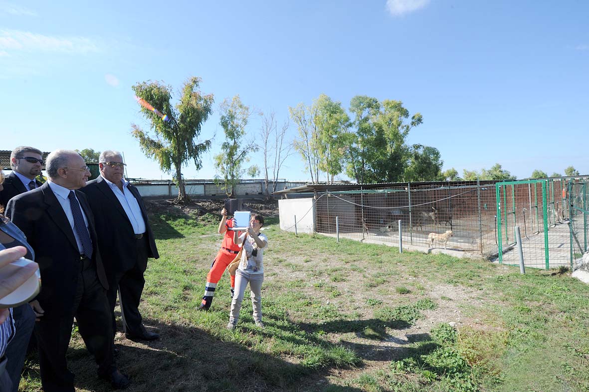   Il Sindaco e Vice Ministro De Luca visita il Canile Municipale Monte di Eboli 
