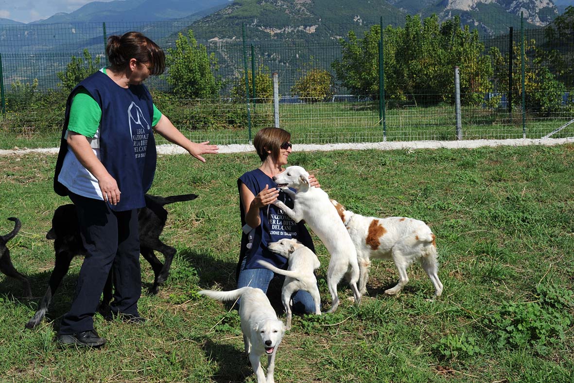   Il Sindaco e Vice Ministro De Luca visita il Canile Municipale Monte di Eboli 

