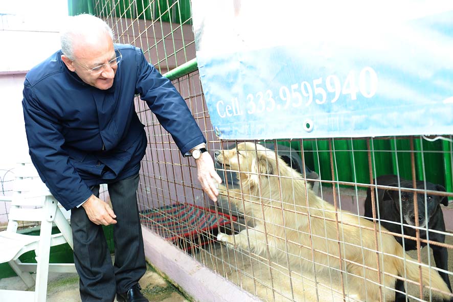   Visita al Rifugio comunale per cani in localit? Monte di Eboli con il Sindaco Vincenzo De Luca, 10 Maggio 2011
