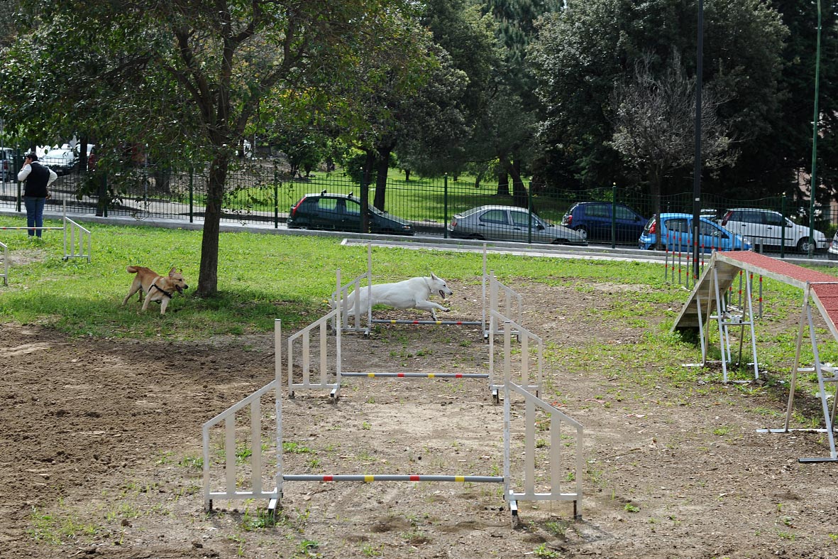   Inaugurato un nuovo parco urbano in via Buongiorno

