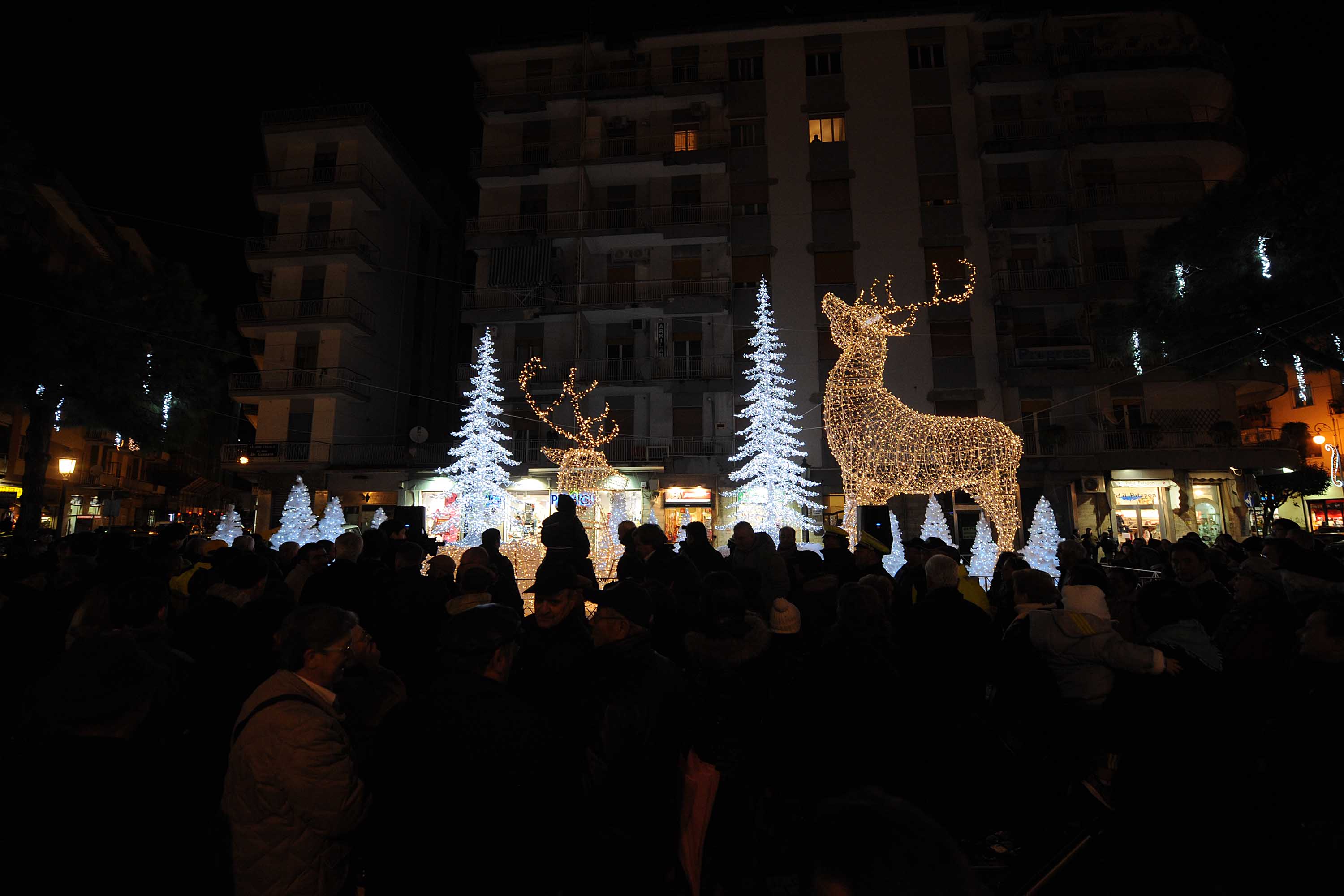   Albero e foresta di ghiaccio, presepi artistici e mercatini di Natale
