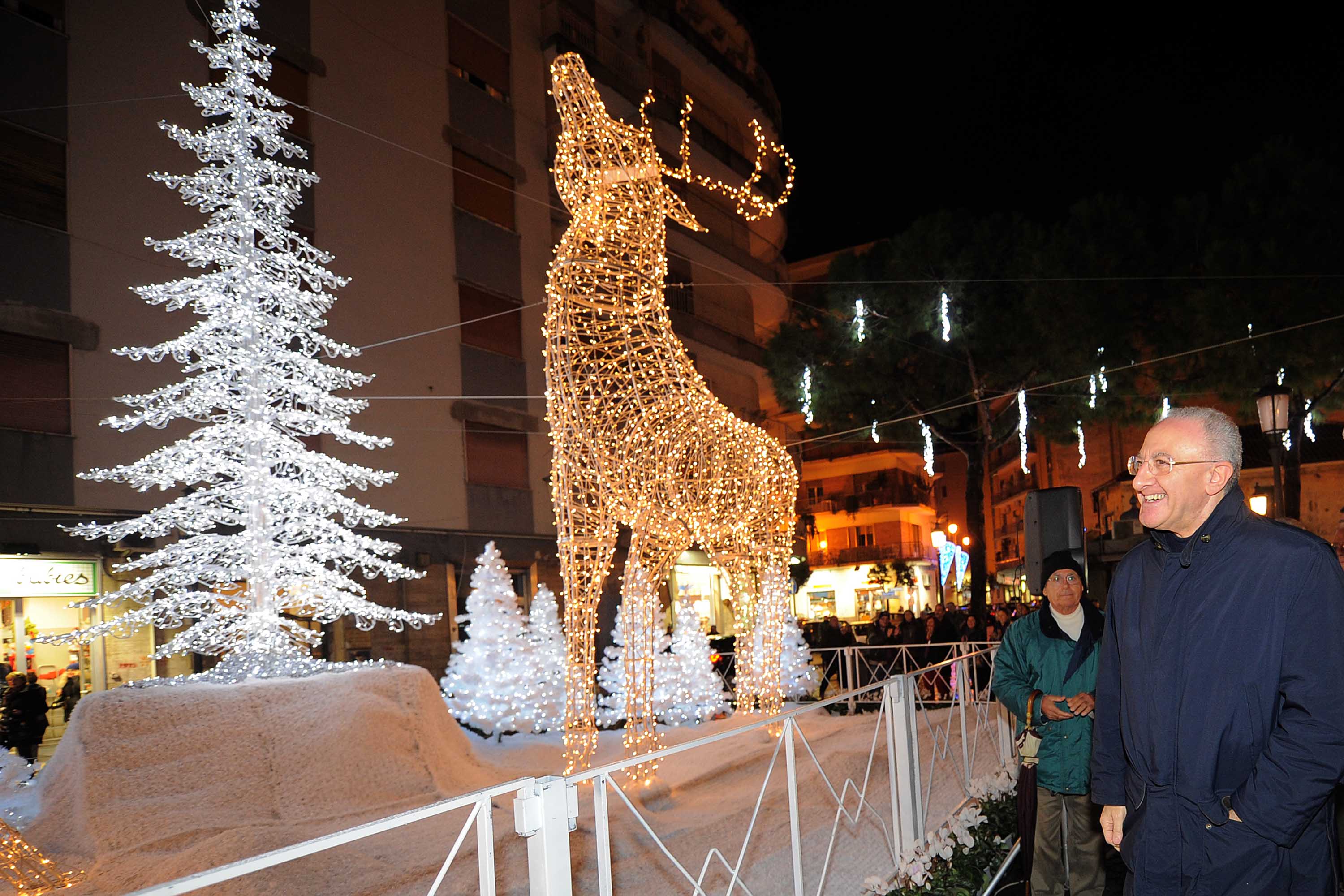   Albero e foresta di ghiaccio, presepi artistici e mercatini di Natale
