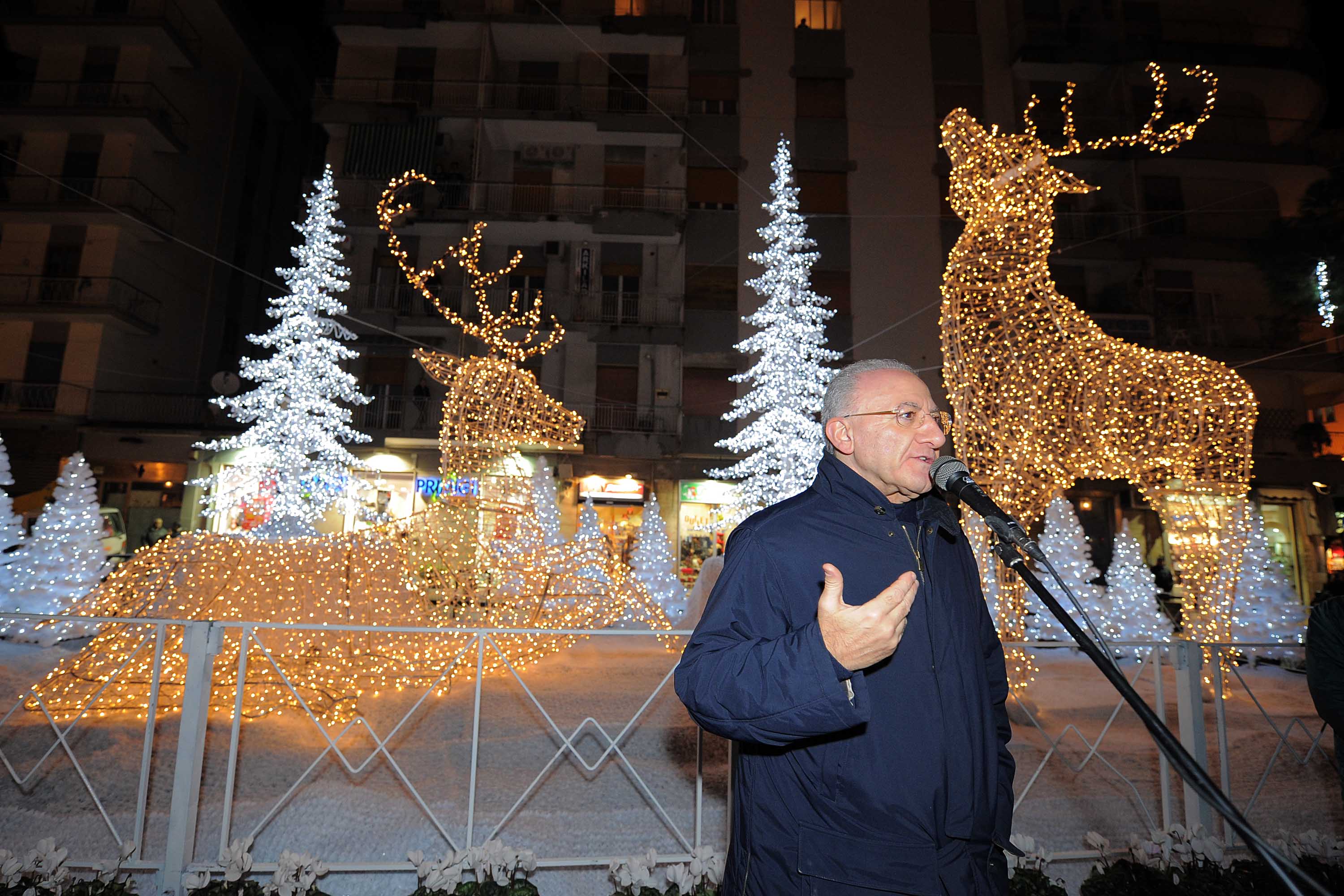   Albero e foresta di ghiaccio, presepi artistici e mercatini di Natale
