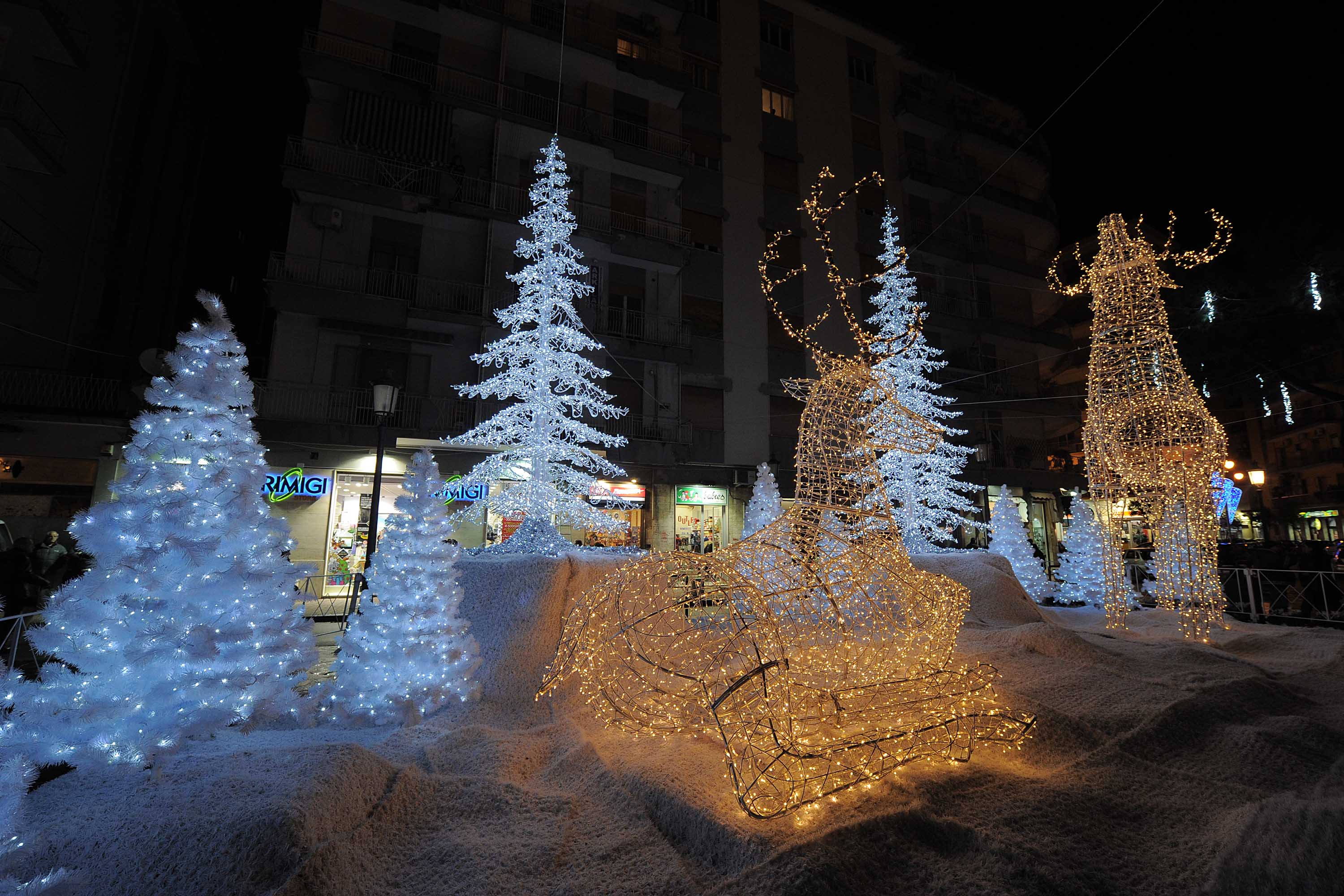   Albero e foresta di ghiaccio, presepi artistici e mercatini di Natale
