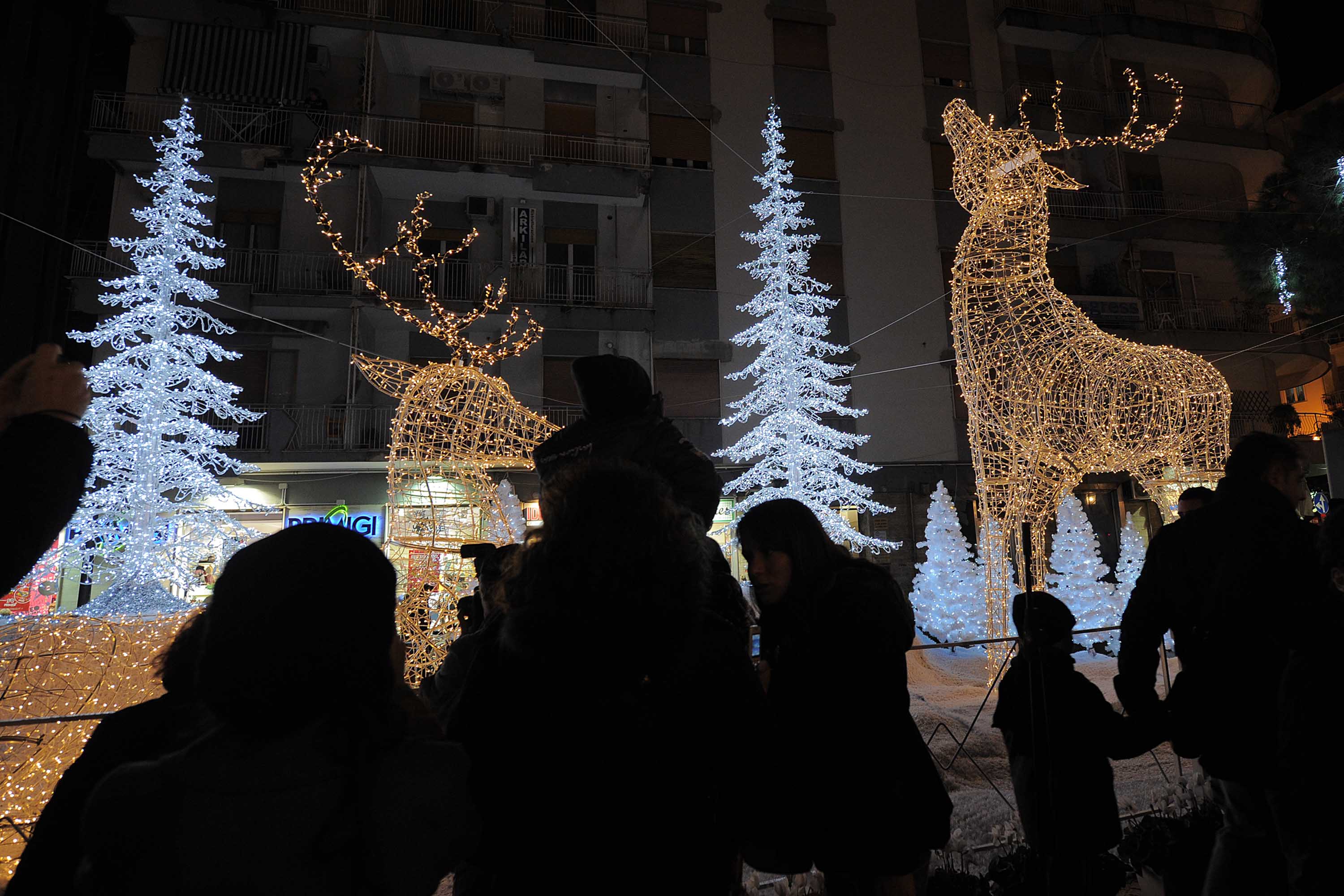   Albero e foresta di ghiaccio, presepi artistici e mercatini di Natale
