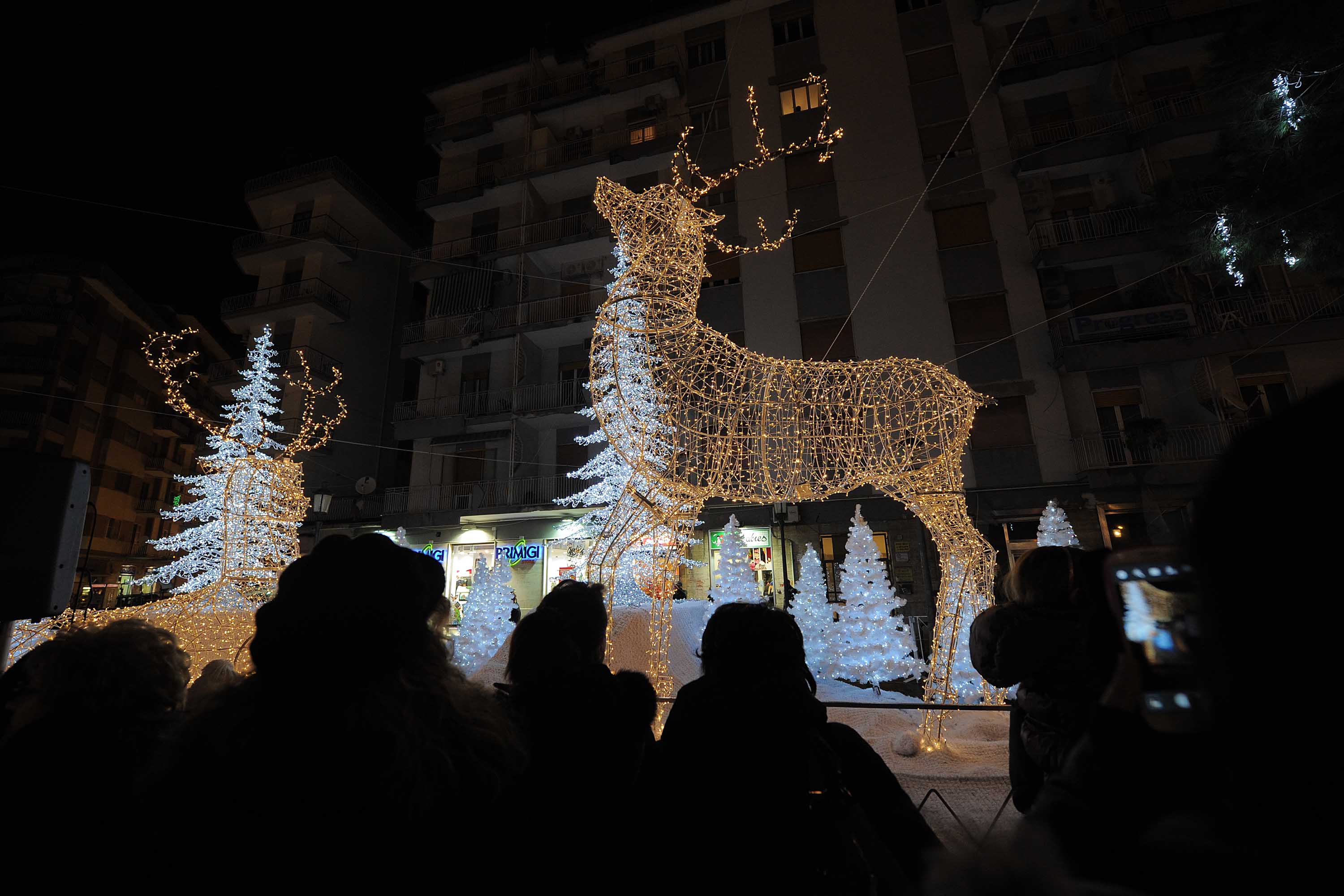  Albero e foresta di ghiaccio, presepi artistici e mercatini di Natale
