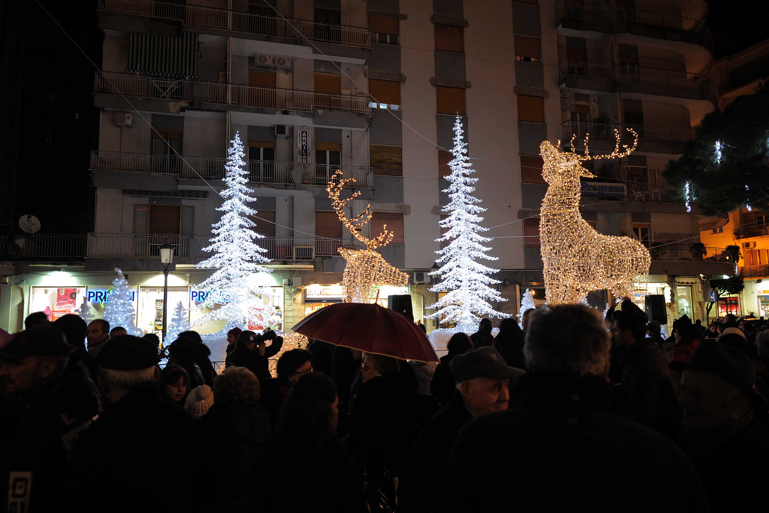   Albero e foresta di ghiaccio, presepi artistici e mercatini di Natale
