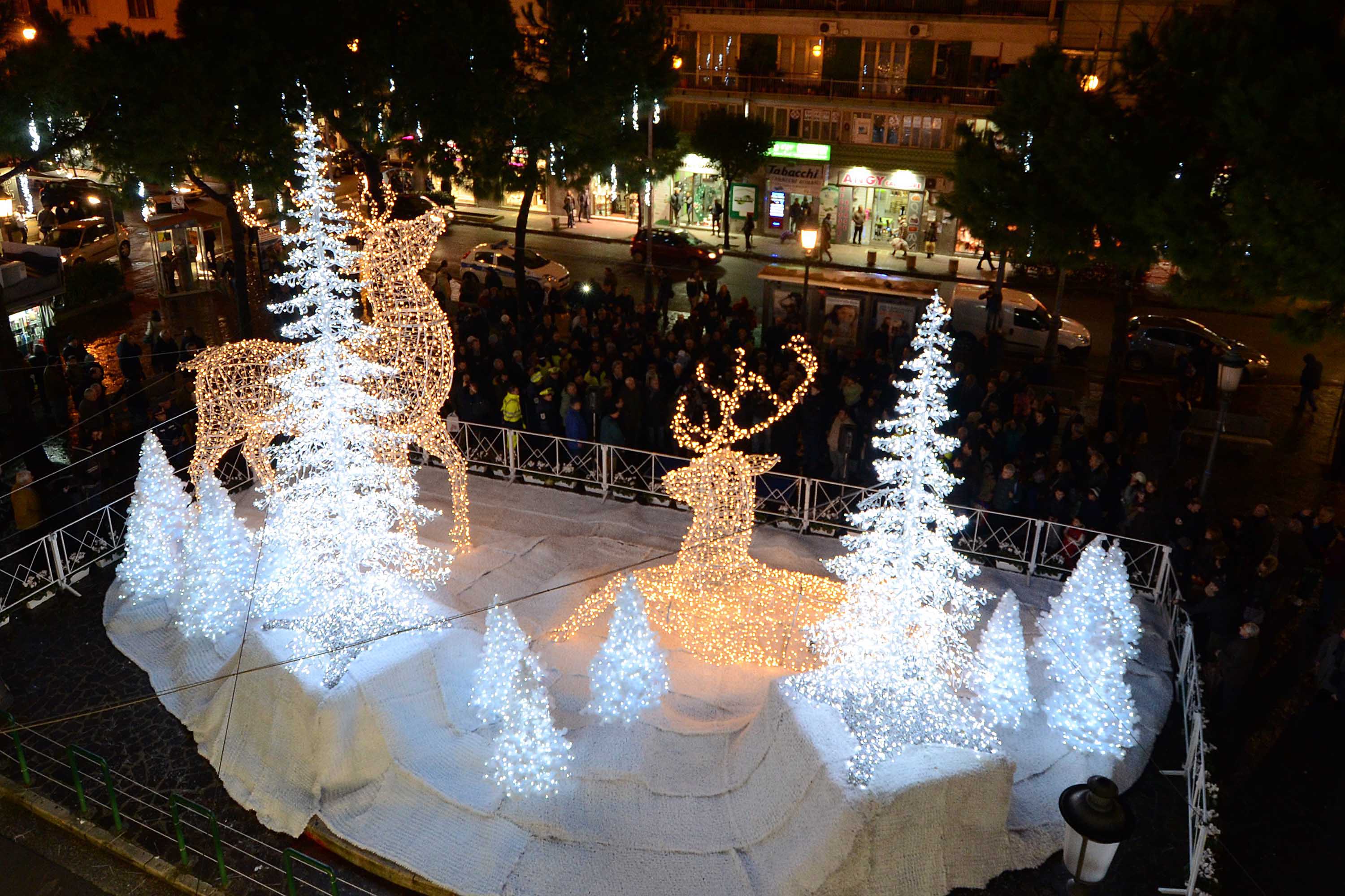   Albero e foresta di ghiaccio, presepi artistici e mercatini di Natale
