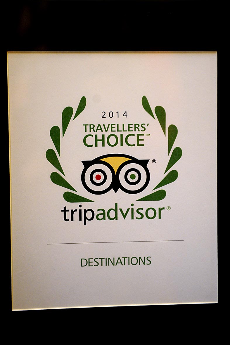   TripAdvisor premia Salerno
