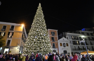 Albero