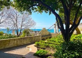 Giardino Minerva