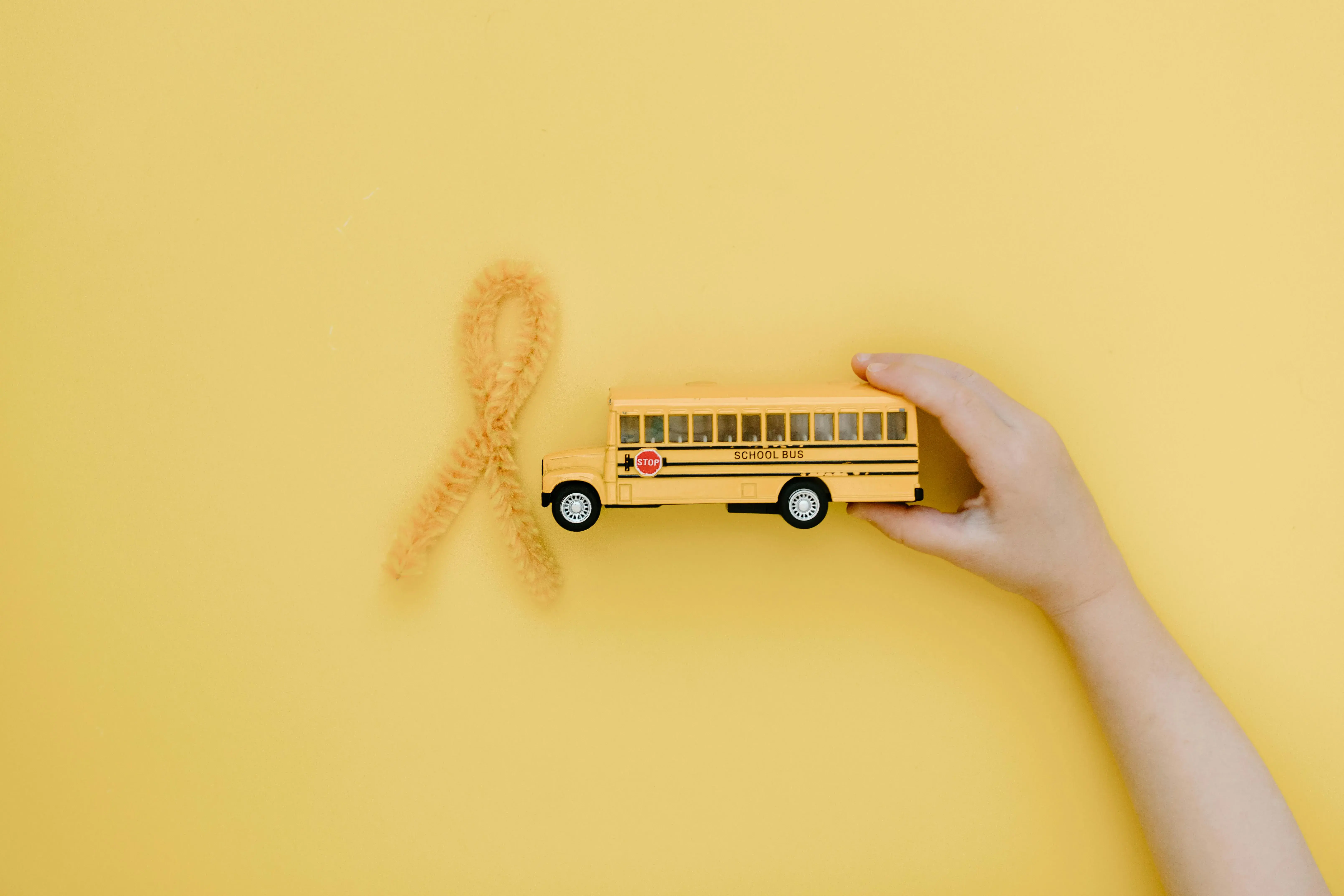 trasporto scolastico