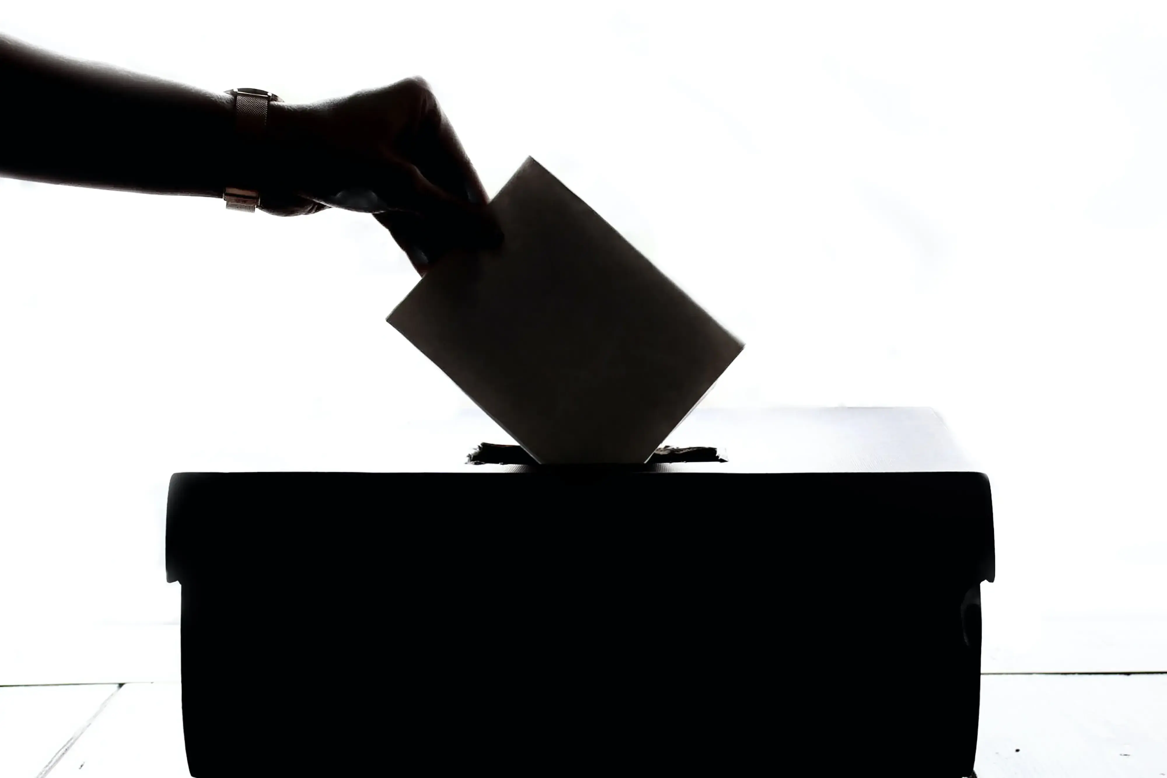 elezioni